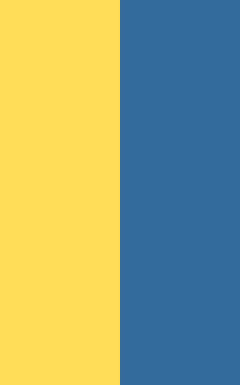 Flag 3